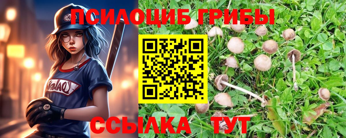 Псилоцибиновые грибы ЛСД Шатура